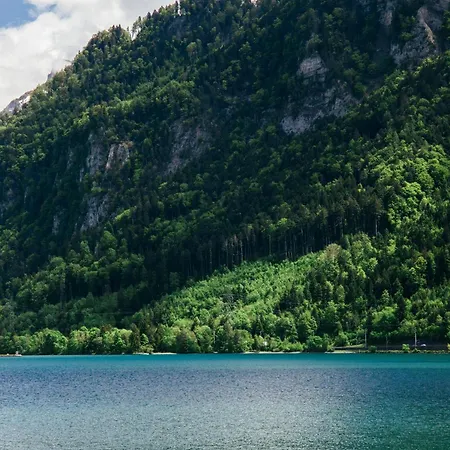 Appartement Au Bord Du